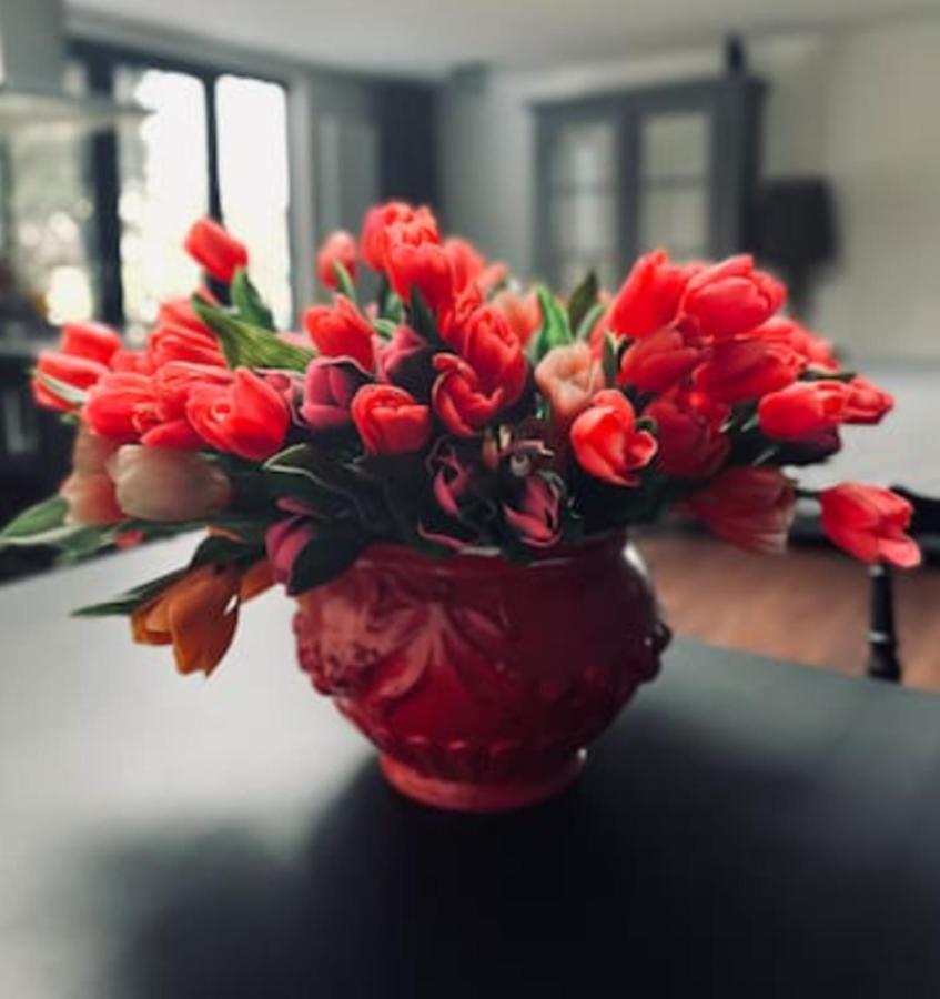 זנדאם Bed And Breakfast Cherry מראה חיצוני תמונה